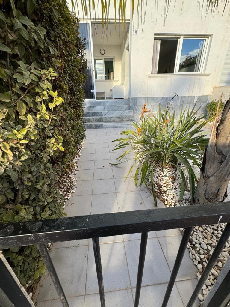 Casa La Zorro Appartement Torrevieja Buitenkant foto